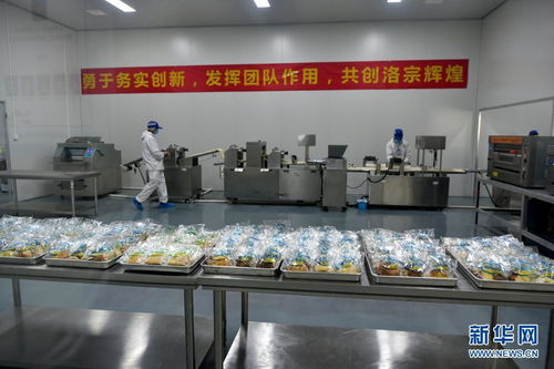 西藏洛隆 以青稞深加工技術開發(fā)，鋪就高原特色產業(yè)增收路